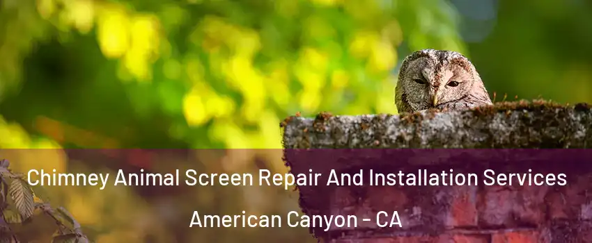  Chimney Animal Screen Repair And Installation Services American Canyon - CA