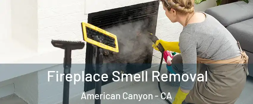  Fireplace Smell Removal American Canyon - CA
