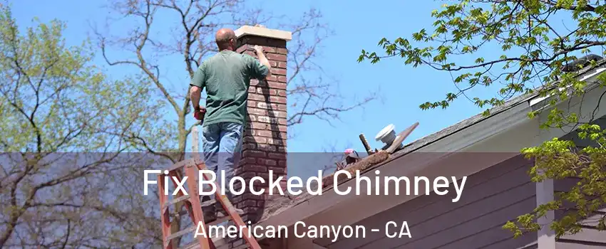  Fix Blocked Chimney American Canyon - CA