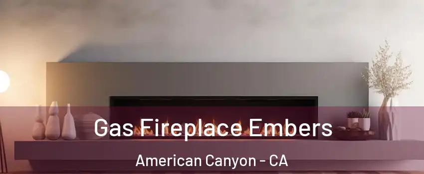  Gas Fireplace Embers American Canyon - CA