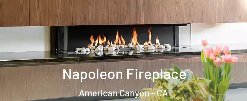  Napoleon Fireplace American Canyon - CA